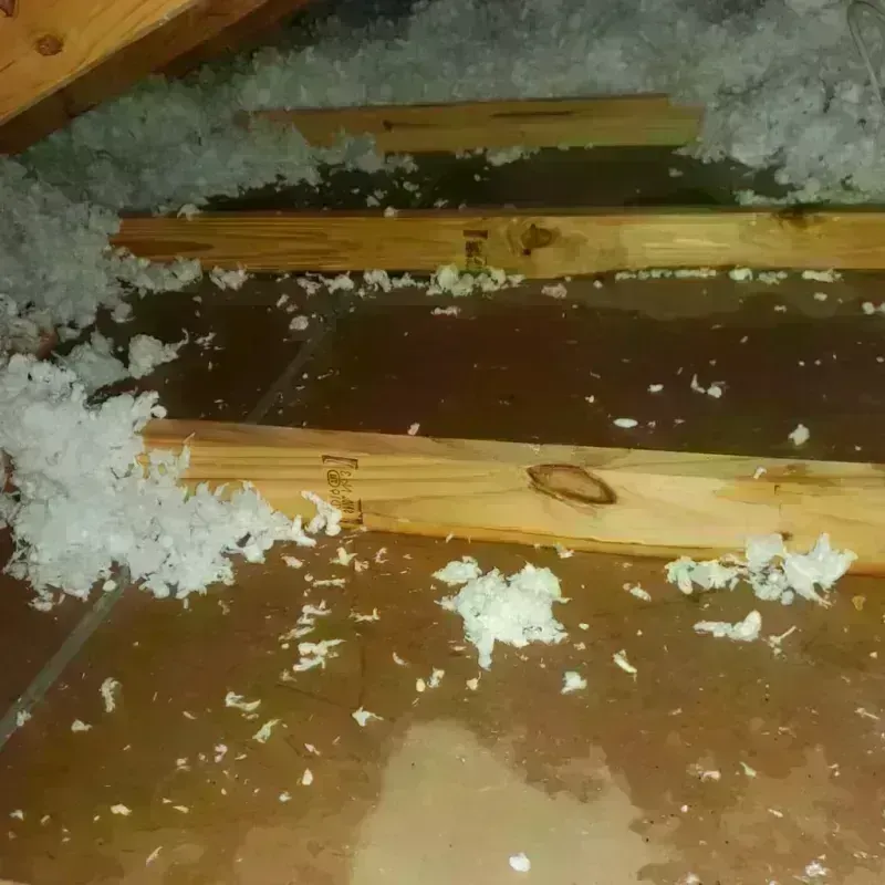 Attic Water Damage in Bloomer, WI