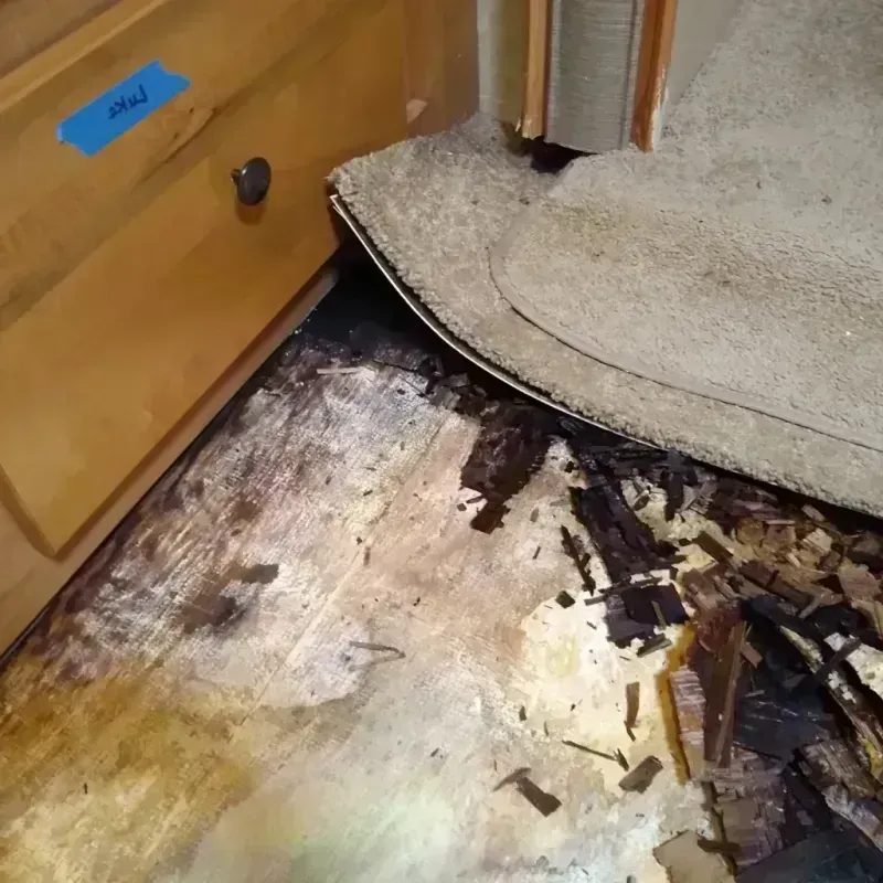 Wood Floor Water Damage in Bloomer, WI